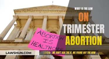 Understanding Abortion Laws: Trimester Legalities Explained