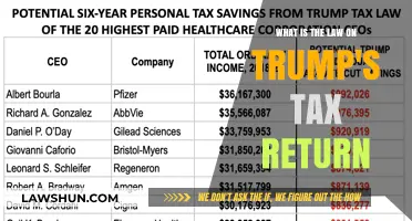 Trump's Tax Returns: What the Law States