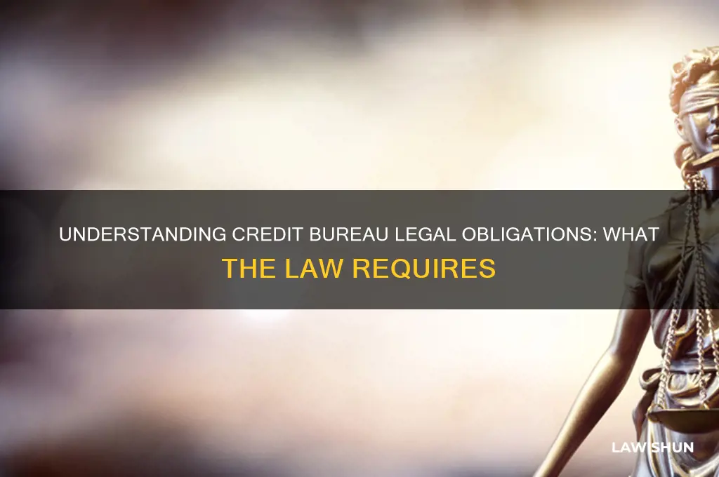 what is the law on what credit bureaus must do
