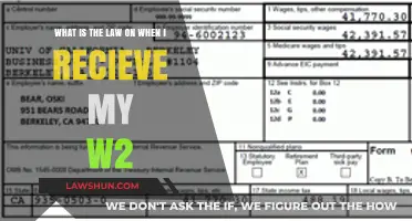 Understanding W-2 Deadlines: When Employers Must Issue Your Tax Form