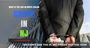 Understanding New Jersey's White Collar Crime Laws: A Comprehensive Guide