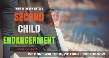 Understanding Legal Consequences of Repeated Child Endangerment: A Parent's Guide