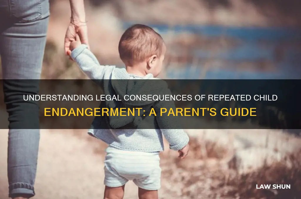 what is the law on your second child endangerment