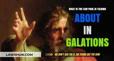 Understanding the Law Paul References in Galatians: A Biblical Exploration