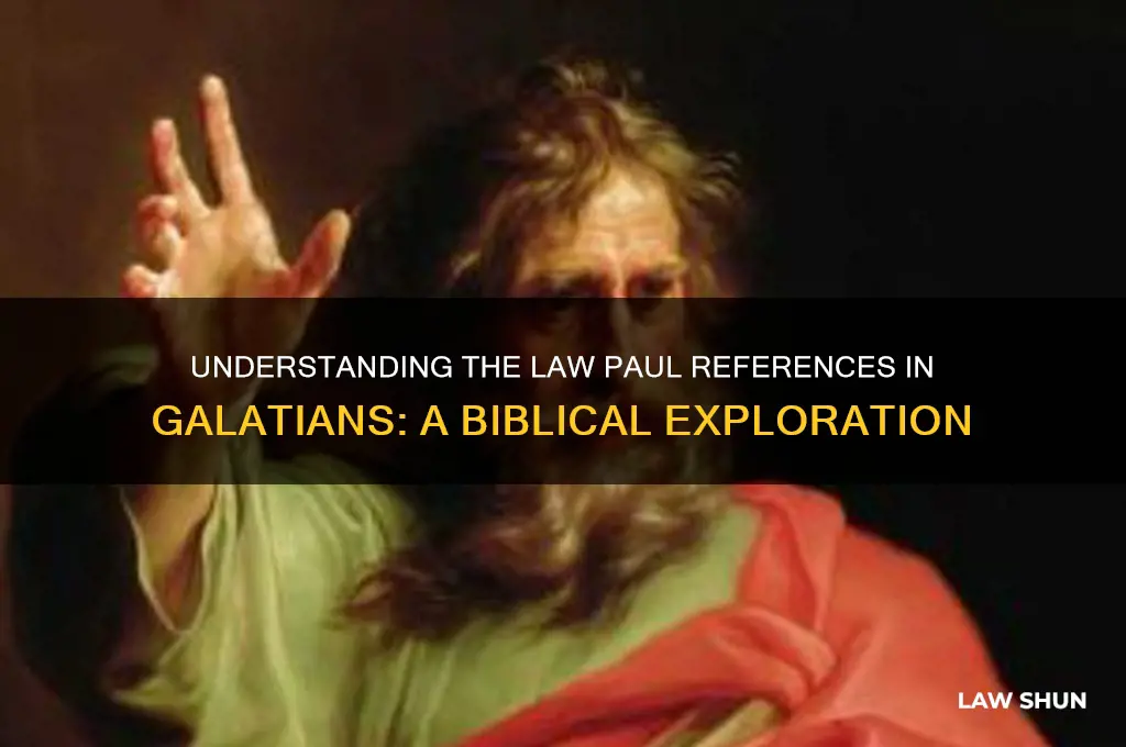 what is the law paul is talking about in galations