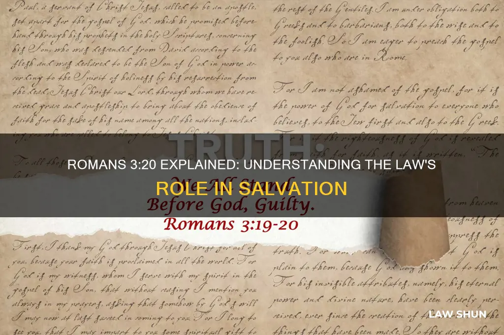 what is the law refered to in romans 3 20