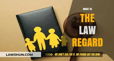 Understanding the Law: Key Principles and Their Real-World Applications