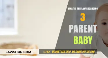Three-Parent Baby Law: Legal Framework and Ethical Considerations Explained