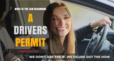 Understanding Driver's Permit Laws: Requirements, Restrictions, and Legal Guidelines