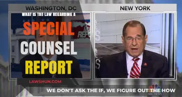 Understanding Special Counsel Report Legal Requirements and Implications
