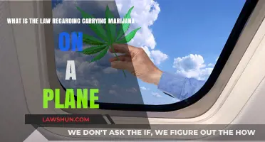 Flying with Cannabis: Understanding Marijuana Laws on Airplanes