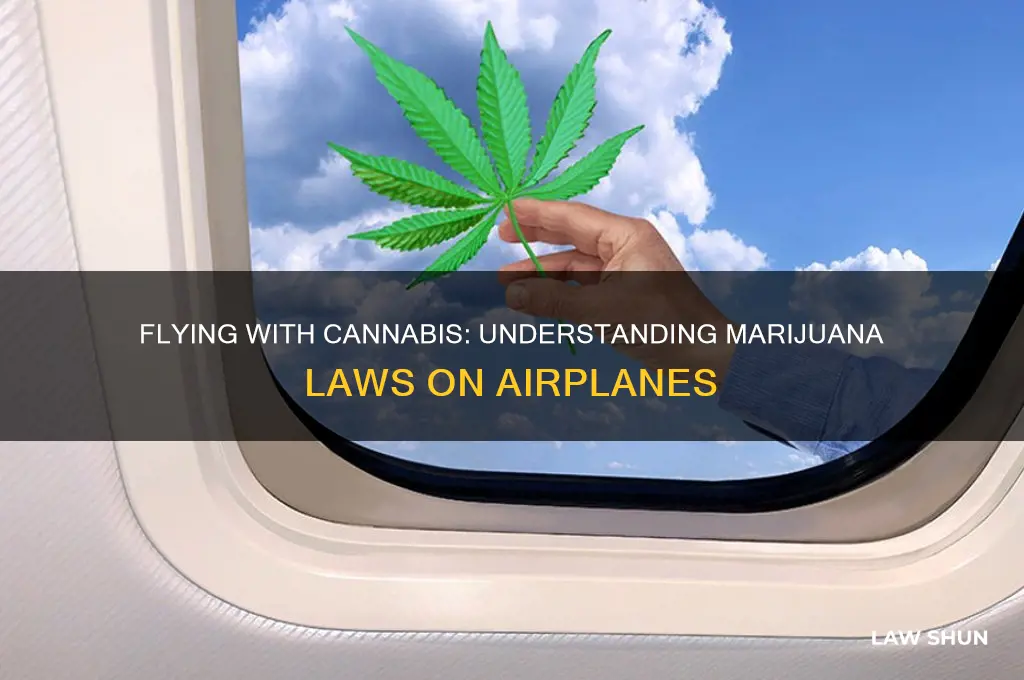 what is the law regarding carrying marijana on a plane