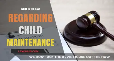 Understanding Child Maintenance Laws: Rights, Responsibilities, and Legal Obligations