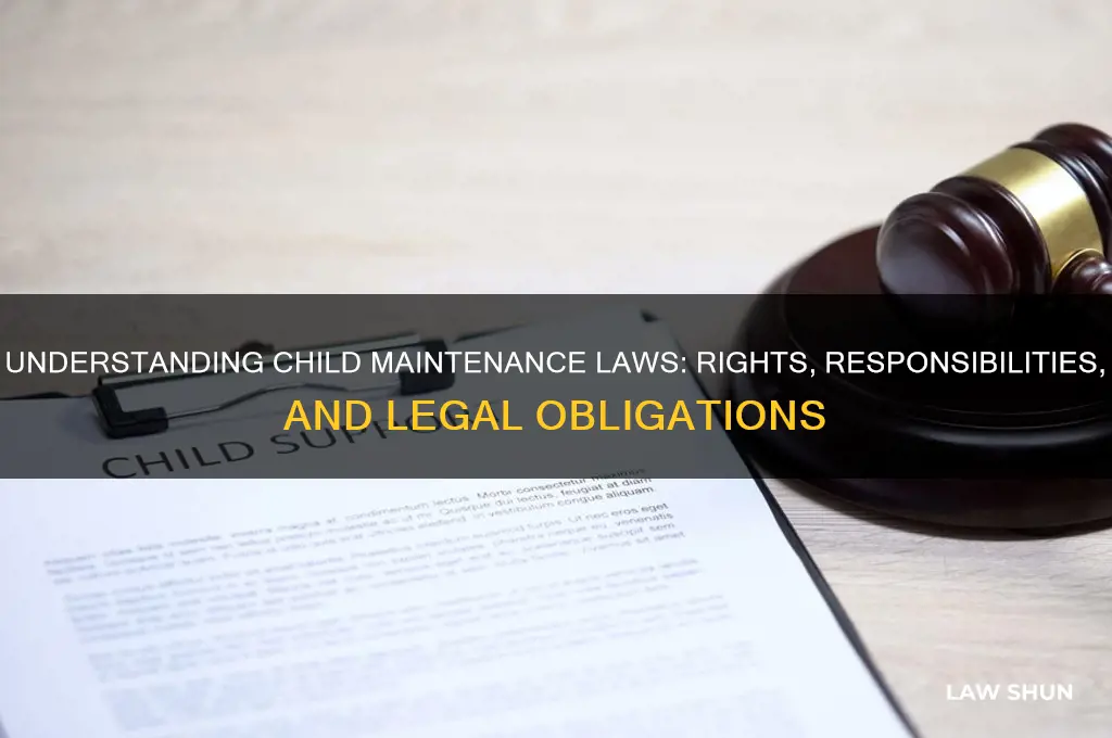what is the law regarding child maintenance