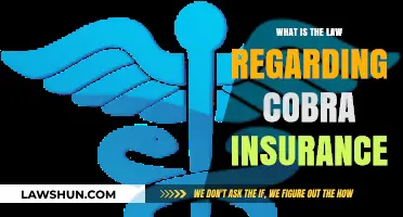 Understanding COBRA Insurance: Legal Rights and Coverage Explained