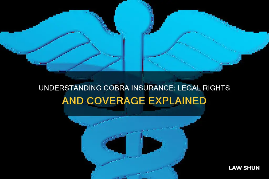 what is the law regarding cobra insurance