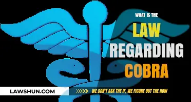 Understanding COBRA: Legal Rights and Requirements for Health Insurance