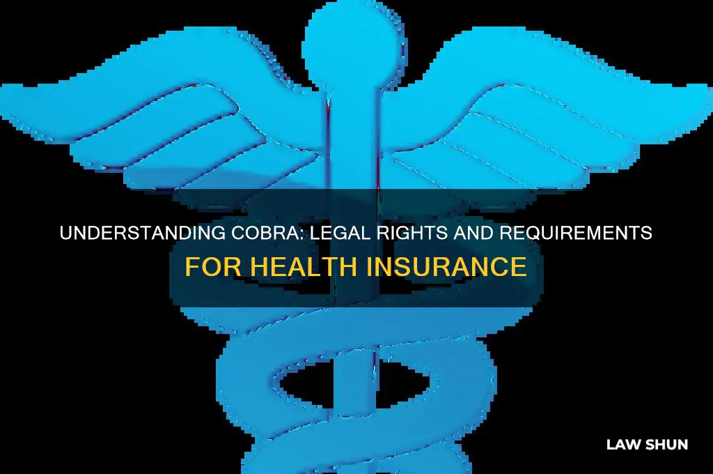 what is the law regarding cobra