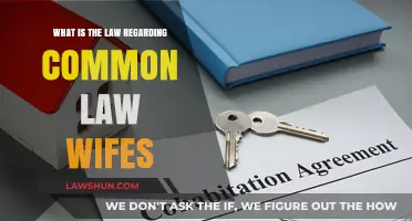 Understanding Common-Law Wife Rights and Legal Recognition
