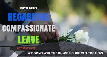 Understanding Compassionate Leave: Legal Rights and Employer Obligations Explained