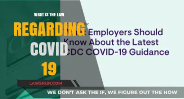 Understanding COVID-19 Legal Regulations: Rights, Responsibilities, and Restrictions Explained