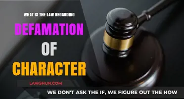 Understanding Defamation Laws: Protecting Reputation and Legal Consequences Explained
