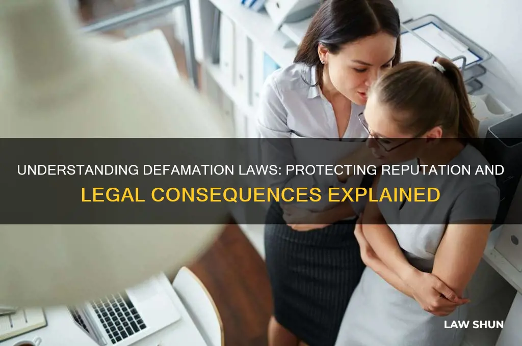 what is the law regarding defamation of character