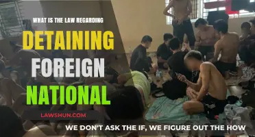 Detaining Foreign Nationals: Understanding Legal Rights and Procedures