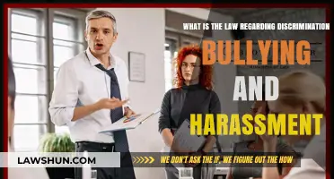 Understanding Legal Protections Against Discrimination, Bullying, and Harassment