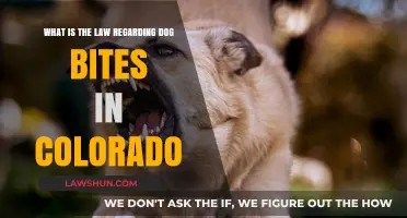 Colorado Dog Bite Law: Liability, Compensation, and Owner Responsibilities