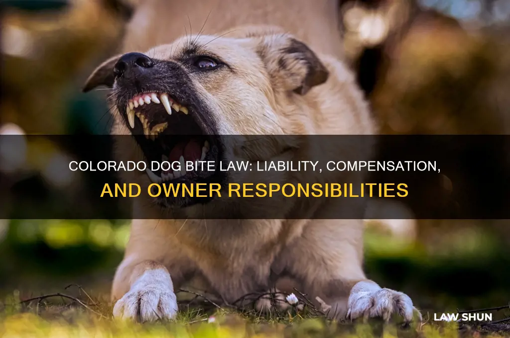 what is the law regarding dog bites in colorado