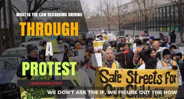 Driving Through Protests: Legal Rights, Responsibilities, and Safety Guidelines