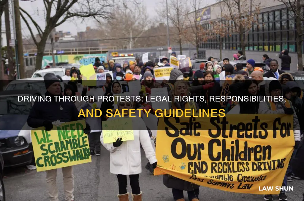 what is the law regarding driving through a protest