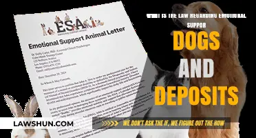 Emotional Support Dogs: Legal Deposit Rules and Regulations Explained