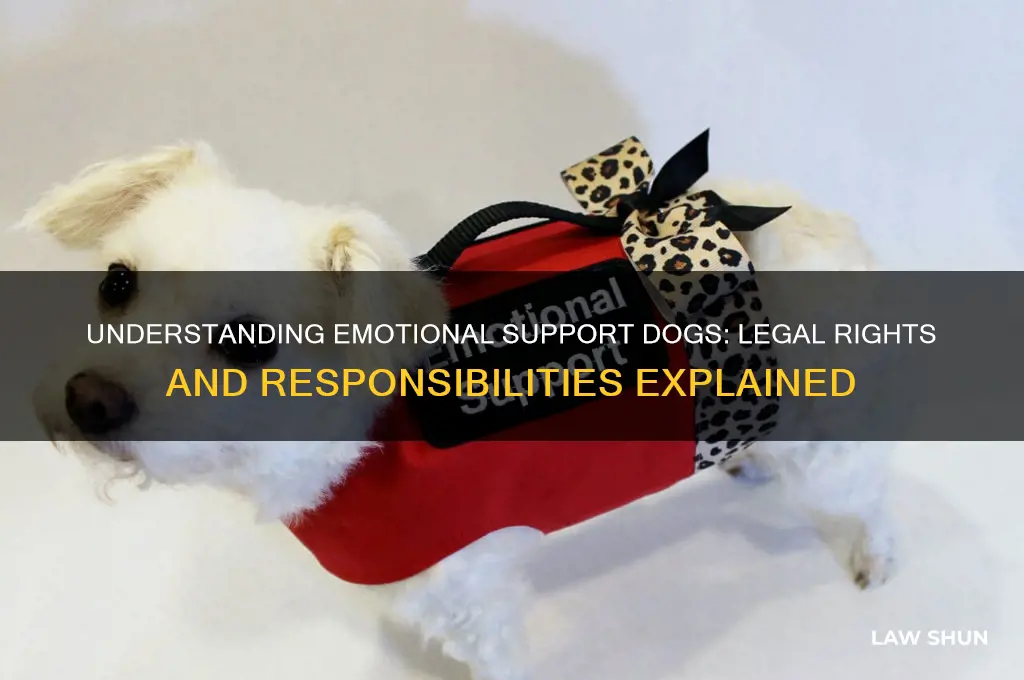 what is the law regarding emotional suppor dogs