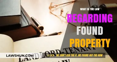 Understanding Legal Obligations: Found Property Laws and Your Responsibilities