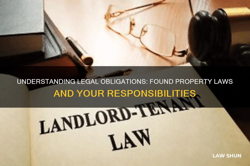 what is the law regarding found property