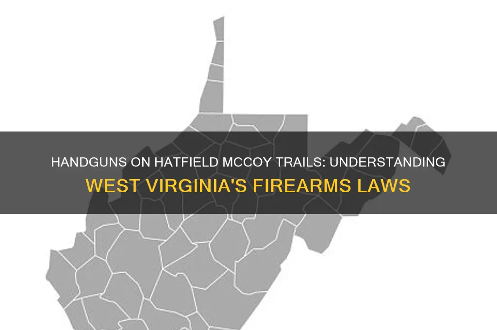 what is the law regarding handguns on hatfield mccoy trails
