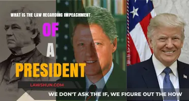 Understanding Presidential Impeachment: Legal Process and Constitutional Grounds Explained