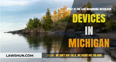 Michigan's Interlock Device Laws: What You Need to Know