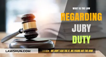 Understanding Jury Duty: Legal Obligations and Rights Explained