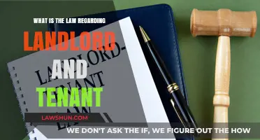 Understanding Landlord-Tenant Laws: Rights, Responsibilities, and Legal Protections