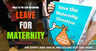 Understanding Maternity Leave Rights: Legal Guidelines for New Mothers