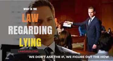 Understanding Legal Consequences: When Lying Crosses the Line into Law