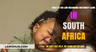 Understanding South Africa's Maternity Leave Laws: Rights and Entitlements