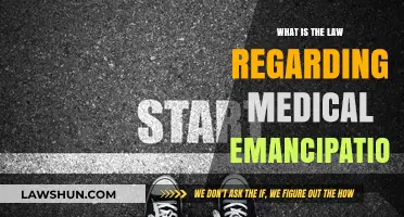Understanding Medical Emancipation Laws: Rights, Age, and Legal Process Explained