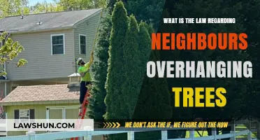 Neighbour's Overhanging Trees: Understanding Your Rights and Legal Responsibilities