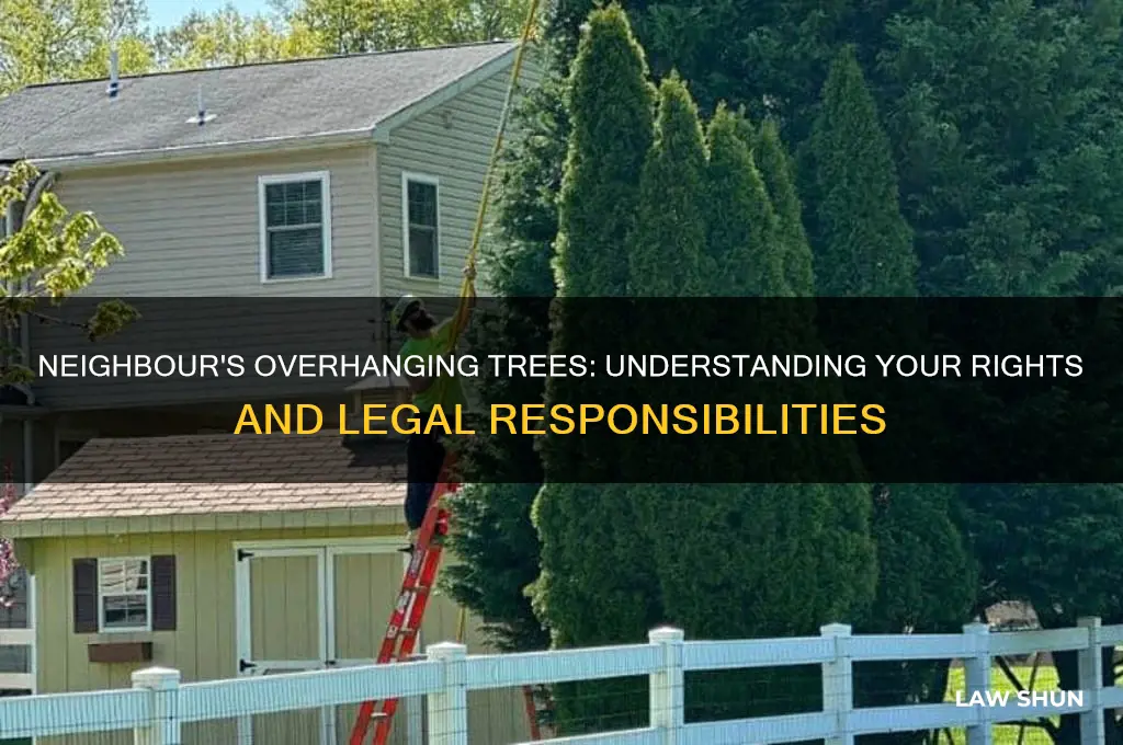 what is the law regarding neighbours overhanging trees