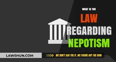 Understanding Nepotism Laws: Legal Boundaries and Workplace Fairness Explained