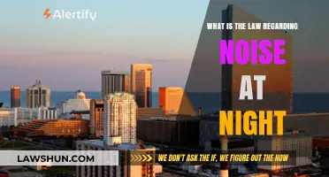 Understanding Nighttime Noise Laws: Your Rights and Regulations Explained